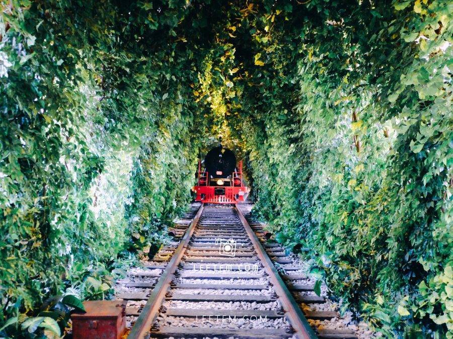 人生是一辆欲望的列车
